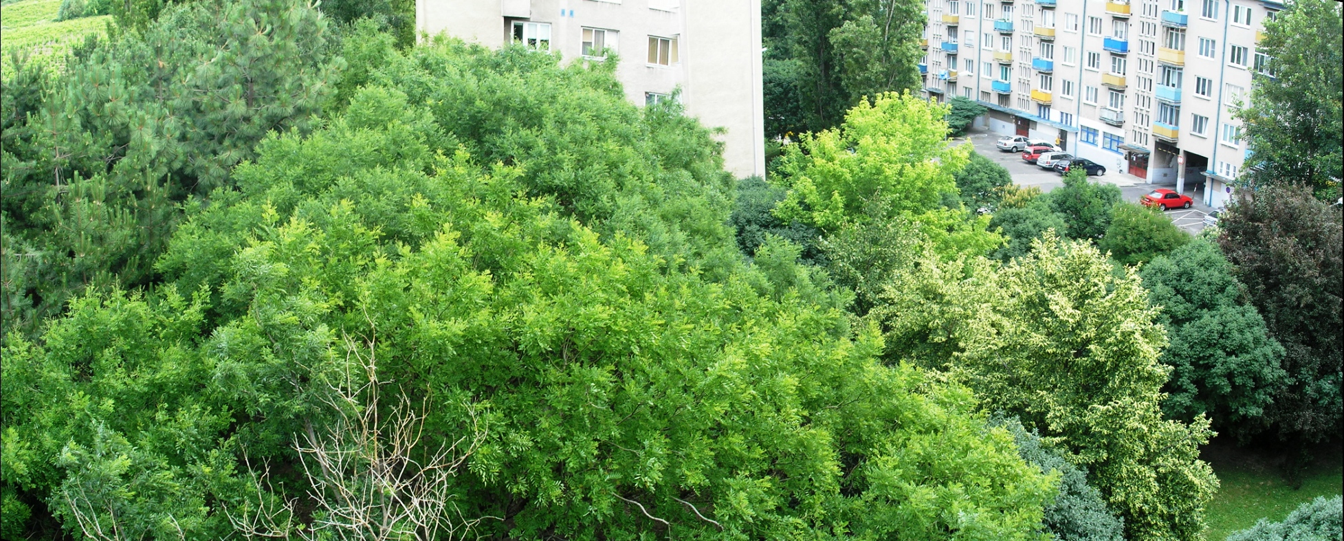 Panorána 1